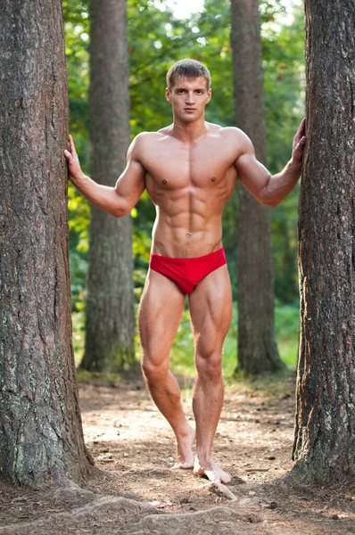 Modèle Masculin Musclé Posant Dans Forêt — Photo