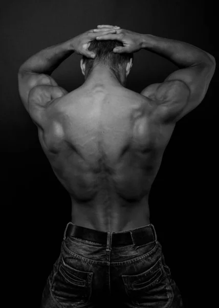 Мускулистый Мужчина Модель Показывает Спину Стоковое Изображение