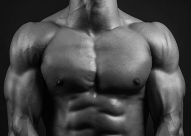 Kaslı erkek gövdesi, altılı paket.