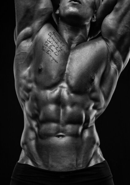 Мужской туловище
