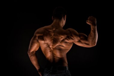 Fitness erkek gövde
