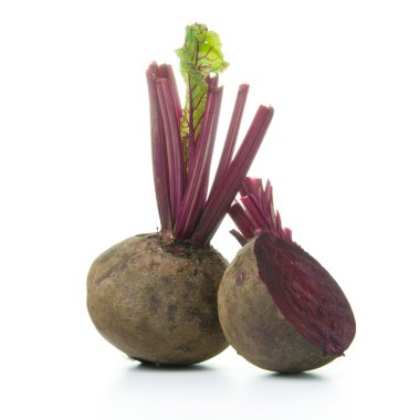 ham pancar kökü