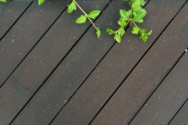 Ahşap güverte zemin 