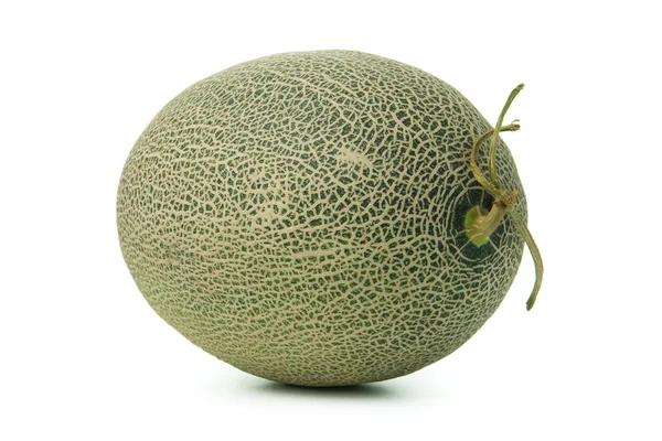 Melão cantaloupe inteiro — Fotografia de Stock