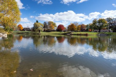 Kırsal alanda nehir boyunca çağlayan renkler