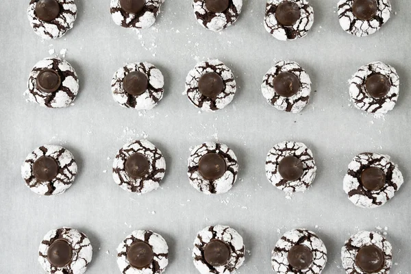 Ciasteczka czekoladowe w cukrze pudrem — Zdjęcie stockowe