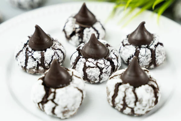 Chokolade crinkle cookies i pulveriseret sukker - Stock-foto