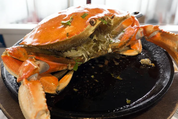 Dungeness crab — Stockfoto