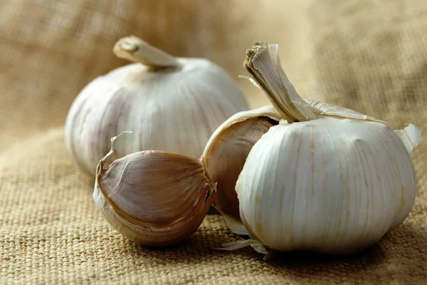 Garlic — Stock Photo, Image