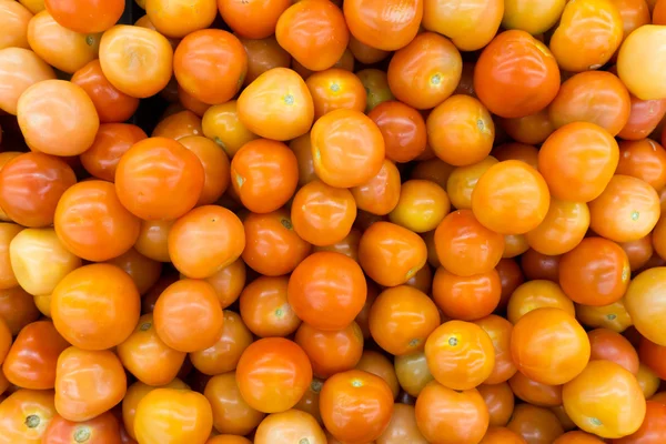 Tomatoes — Stock Photo, Image