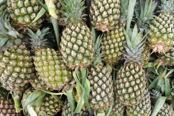 Ananas (vinbär) — Stockfoto