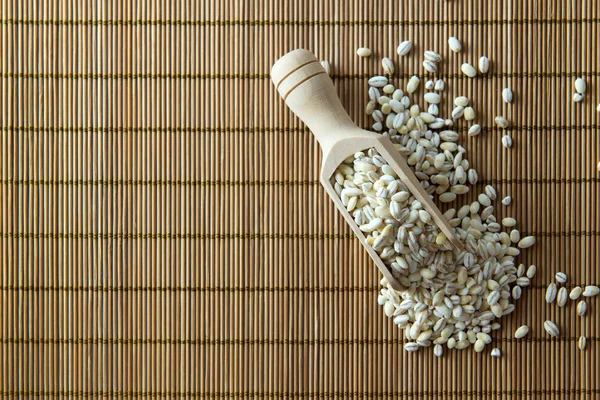 Barley — Stock Photo, Image