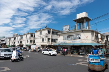 Tsukiji Fish Market Merkezi Tokyo