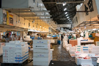 Tsukiji Fish Market Merkezi Tokyo