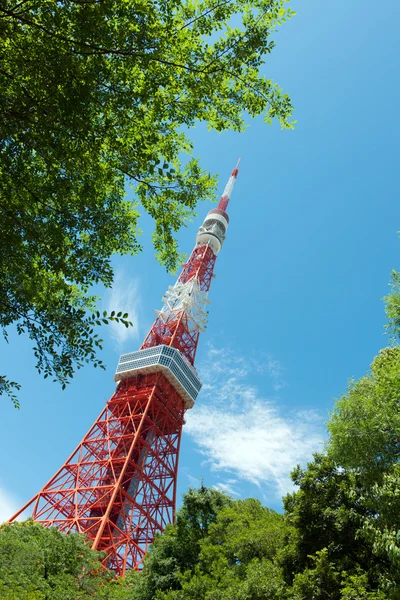 Tokyo Tower en Japón contra el cielo azul claro — Foto de Stock