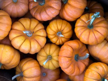 A top-down, high-angle view of a wooden crate overflowing with a dense arrangement of small, bright orange pumpkins and gourds, showcasing the textures of the harvest season.