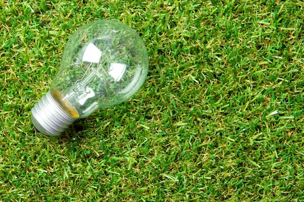 Лампочка на зеленой траве — стоковое фото