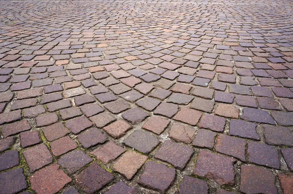 Doku parke taşı. — Stok fotoğraf