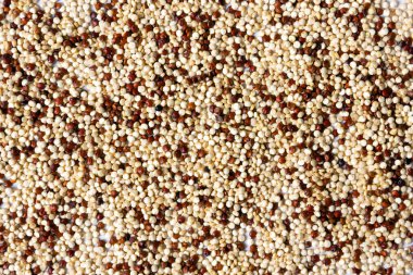 Closeup of red, white and brown quinoa.  Mix of quinoa background texture. Top view. 