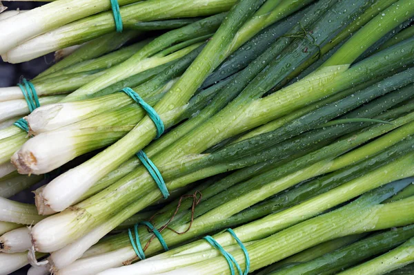 Nahaufnahme Von Frischen Frühlingszwiebeln — Stockfoto