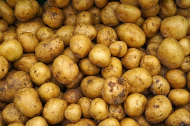 Patates sebze pazarı.