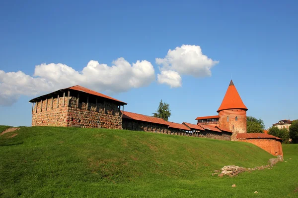 Gotiskt slott i Kaunas, Litauen. — Stockfoto