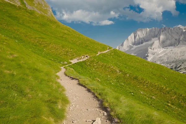 Alpské letní krajina — Stock fotografie