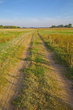 Dirtroad bir alan üzerinden