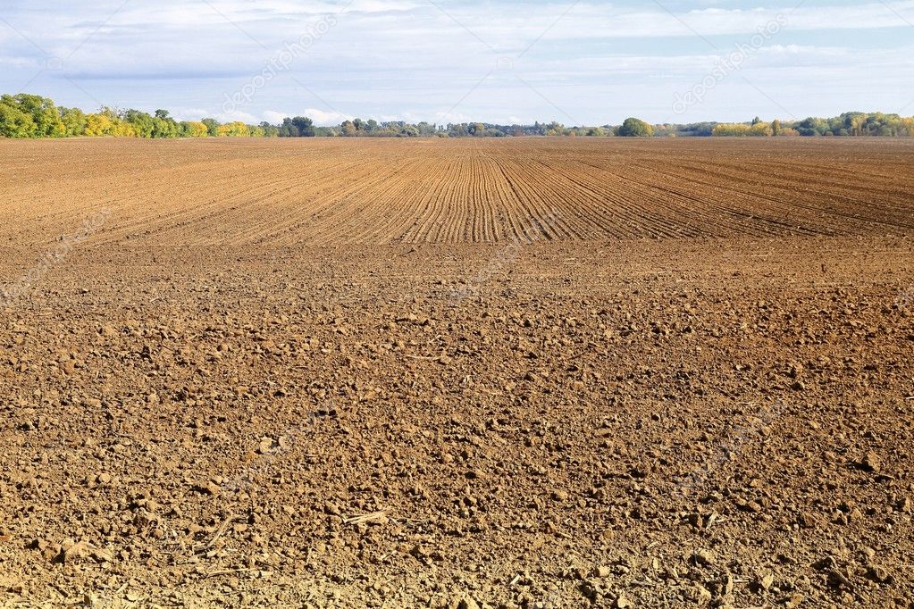 Agricultural plowed field
