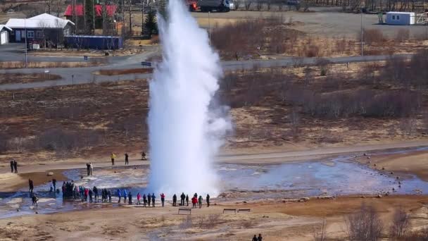 Erupting geyser in Iceland — Stock Video