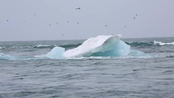 Iceberg derretendo no mar — Vídeo de Stock