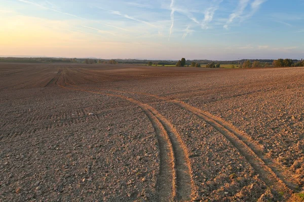 Agircutural veld in laat zonlicht — Stockfoto