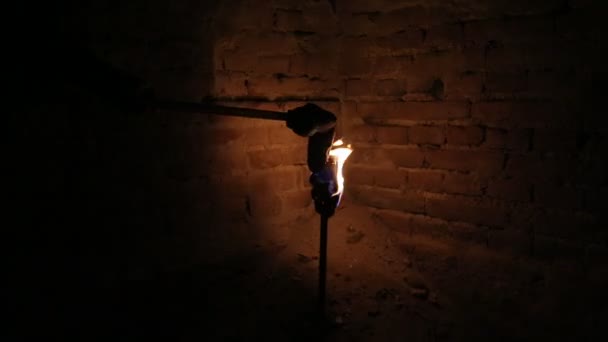 Lumière de torche dans l'obscurité — Video