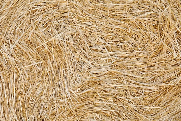 Haystack closeup textura — Fotografia de Stock