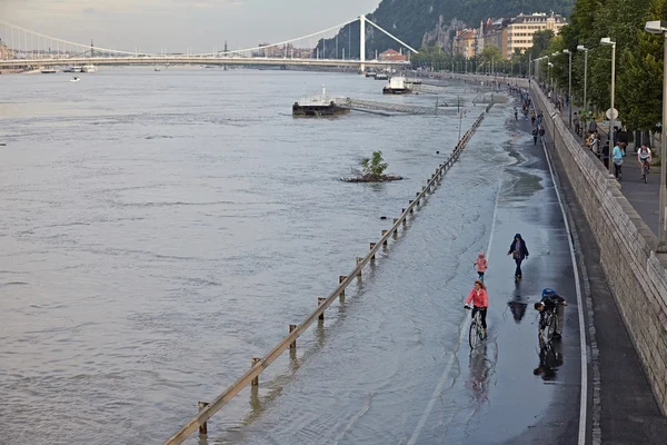 Затопленная Будапештская улица — стоковое фото