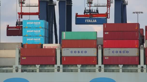 Caricamento di container su una nave — Video Stock