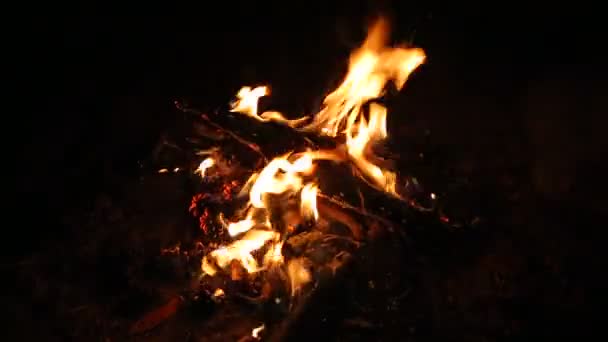 Flammes de feu de camp — Video