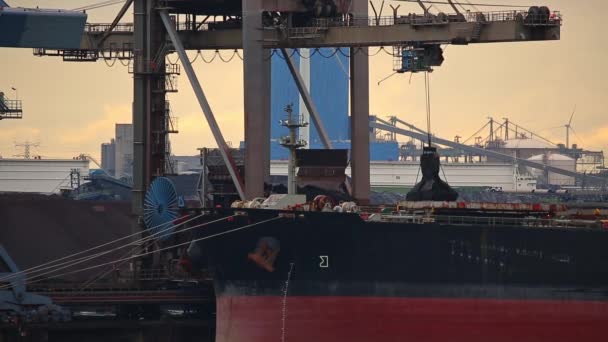 Unloading a huge ship — Stock Video