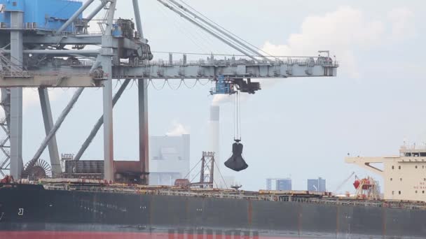 Een enorme schip lossen — Stockvideo