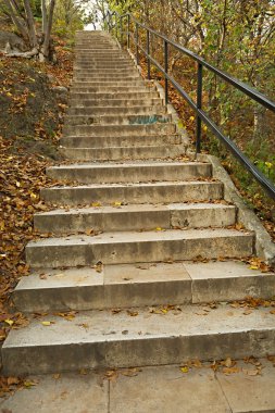 Bir parkta sonbahar merdiven