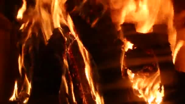 Flammes d'un feu ouvert — Video