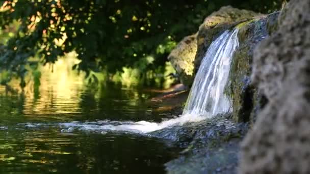 Litet vattenfall i en park — Stockvideo