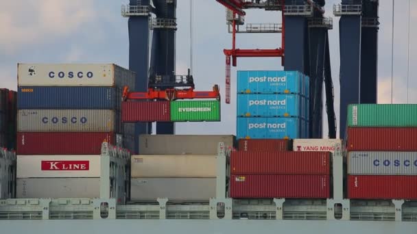 Containerverladung auf einem Schiff — Stockvideo