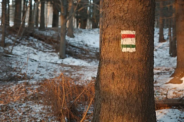 Hiking trail signs — Stock Photo, Image