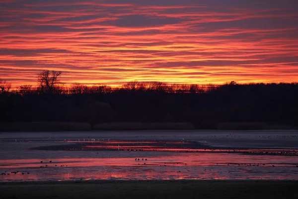 Coucher de soleil Ciel lumineux — Photo