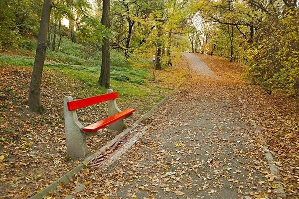 Höst park med bänk — Stockfoto