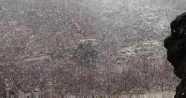 Bir vadiye kar yağıyor, bir mağaraya sığınıyor.