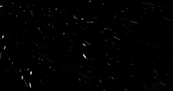 Falling snow at night — Stock Video