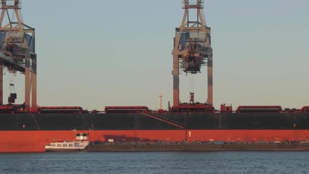 Unloading a huge coal ship — Stock Video