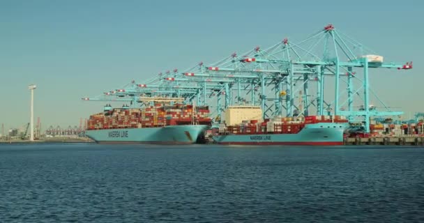 Containerverladung auf einem Schiff — Stockvideo